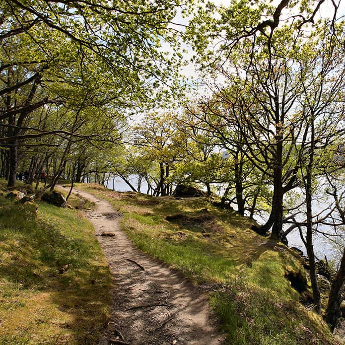 Explore the countryside around the Inversnaid Hotel