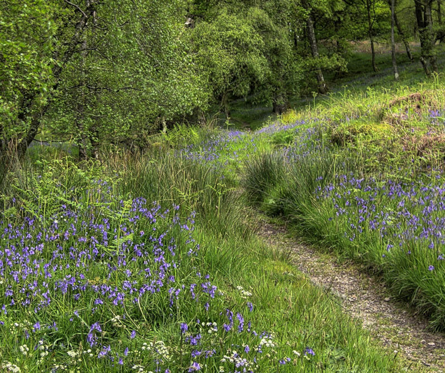 Ardgartan Hotel Lochs & Glens Holidays